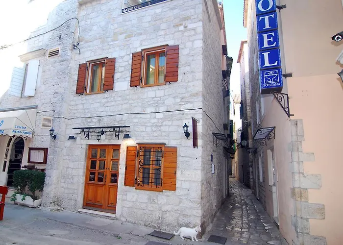 Magnolia Τρογκίρ